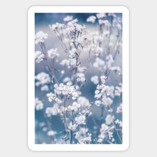 White Flowers With Blue and Grey Background Sticker